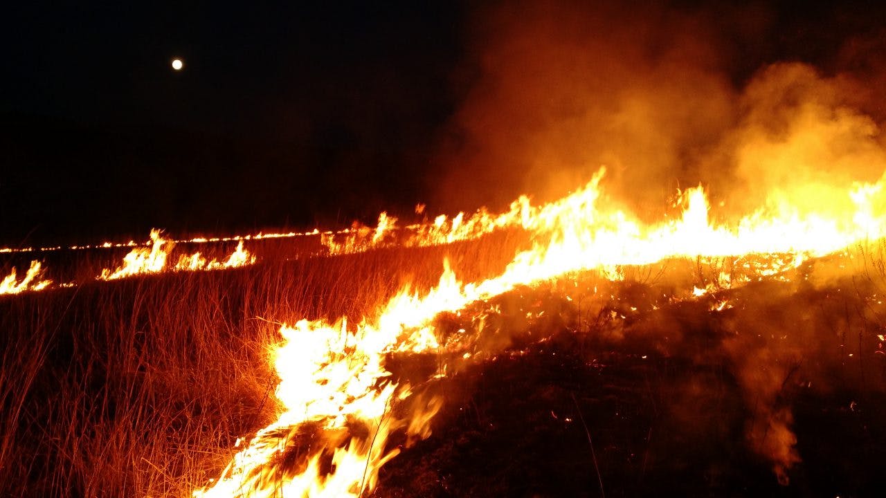 Picture of a coordinated burn at night