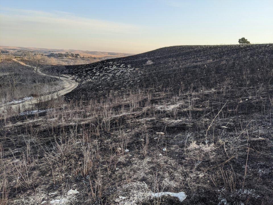 Hills after coordinated burn